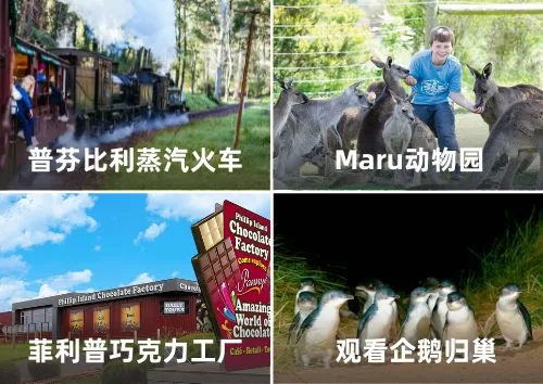 MELPFB 【奔驰精品小团】蒸汽火车+企鹅岛一日游 天天出发 Attraction List (1).jpg