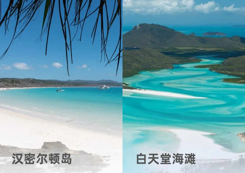 CWWHI1D白天堂海滩和汉密尔顿岛一日游 （仅艾利出口）Attractions.jpg